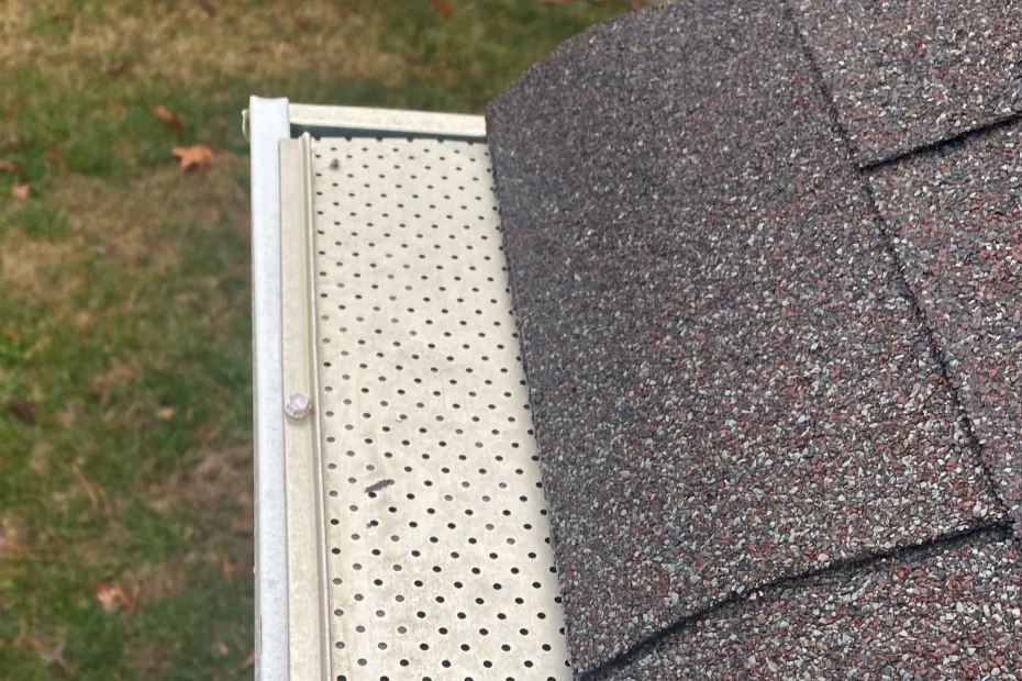 Gutter Cleaning Belcher