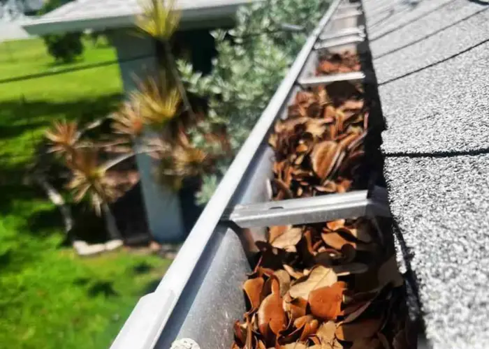 Gutter Cleaning Belcher home page